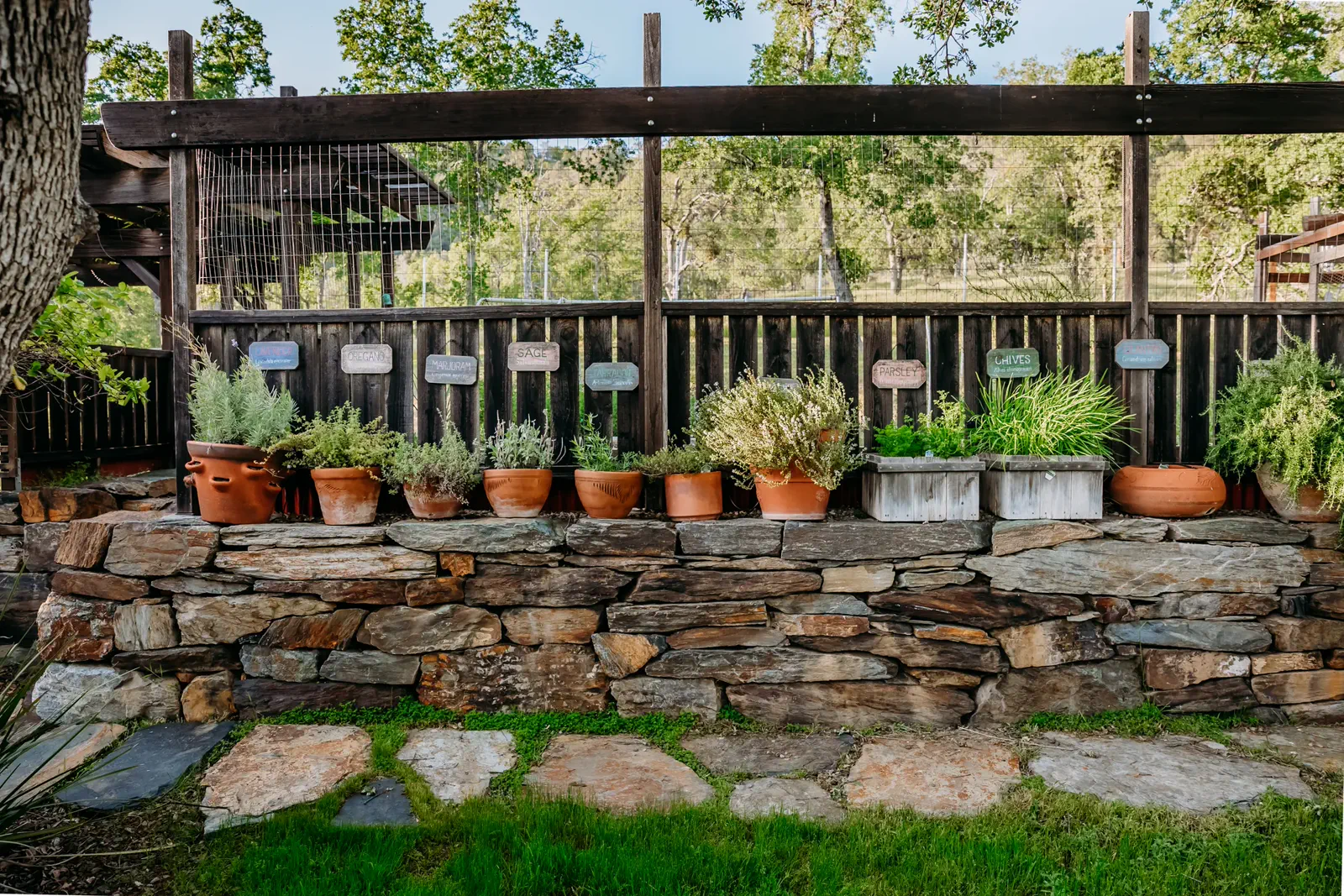 Discover the Beauty Outdoors